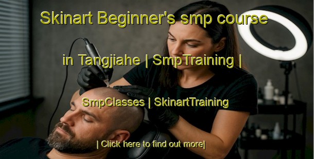 Skinart Beginner's smp course in Tangjiahe | SmpTraining | SmpClasses | SkinartTraining-China